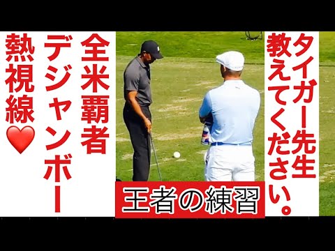 [王者のゴルフ] トッププロでもガン見する、生きる伝説"タイガーウッズ"の練習方法。 最後まで見る人は必ず上手くなれる人です。