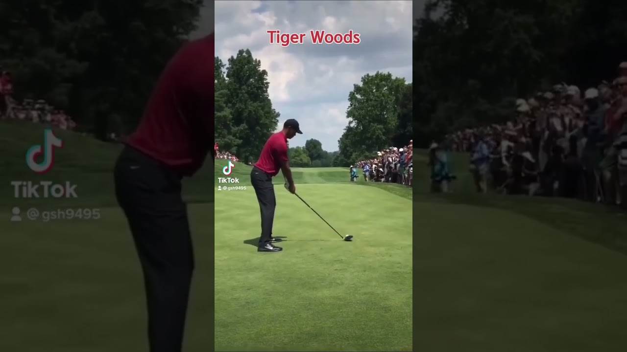 #Tiger Woods #Rory McIlroy #GOLPRO⛳️ #GOLF #PGA #LPGA #KPGA #KLPGA #WORLD #GOLFSTORE #GOLFVIDEO#NIKE