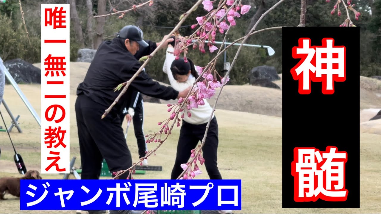 【神髄】レジェンド唯一無二の教え‼️