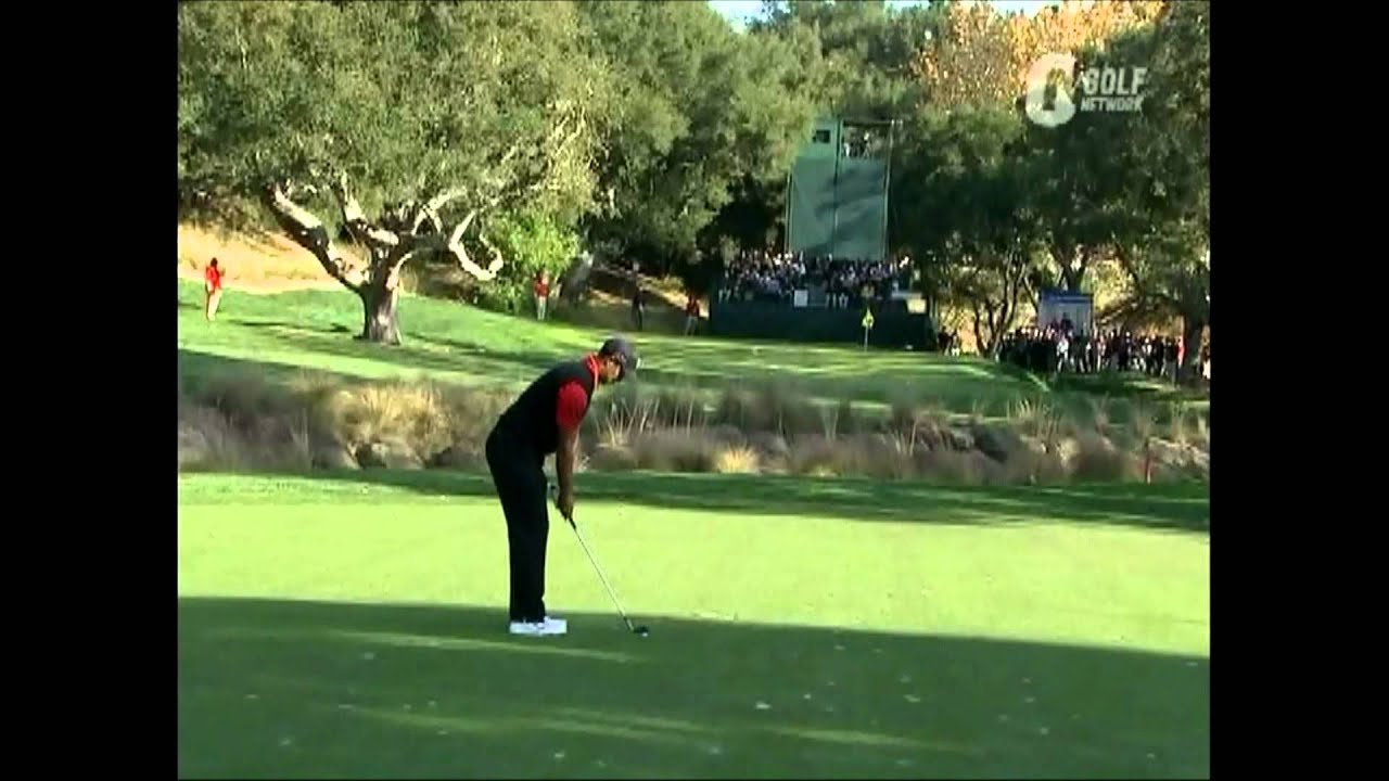 タイガーウッズ　スイング解析　８１ヤード　ショット