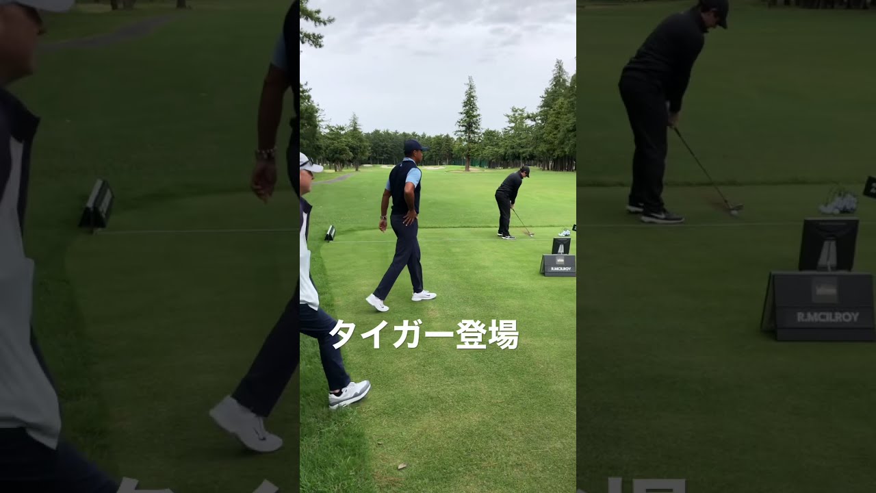 タイガーウッズ&ローリーマキロイ コント劇場　#shorts #ゴルフ自然体でいこうや