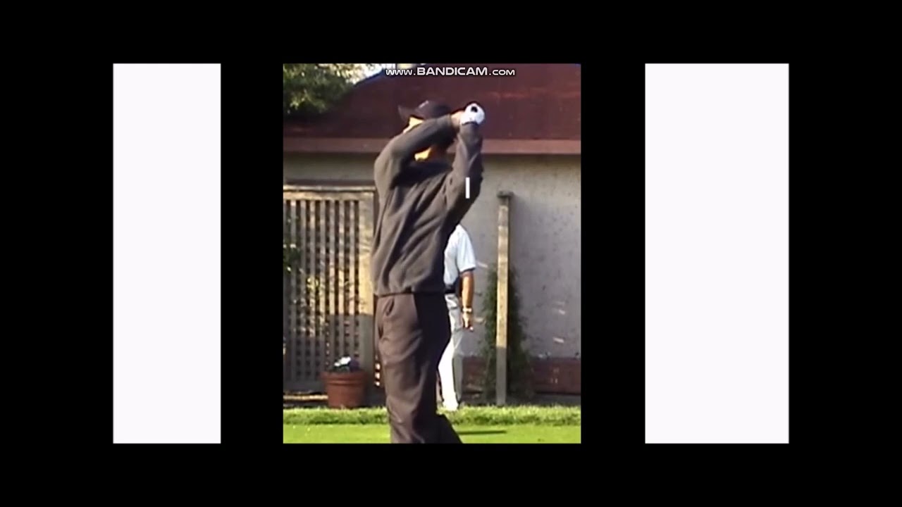 背骨軸のタイガーウッズ