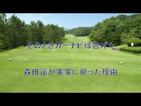 そのときカーナビは告げた 森田遥が実家に戻った理由