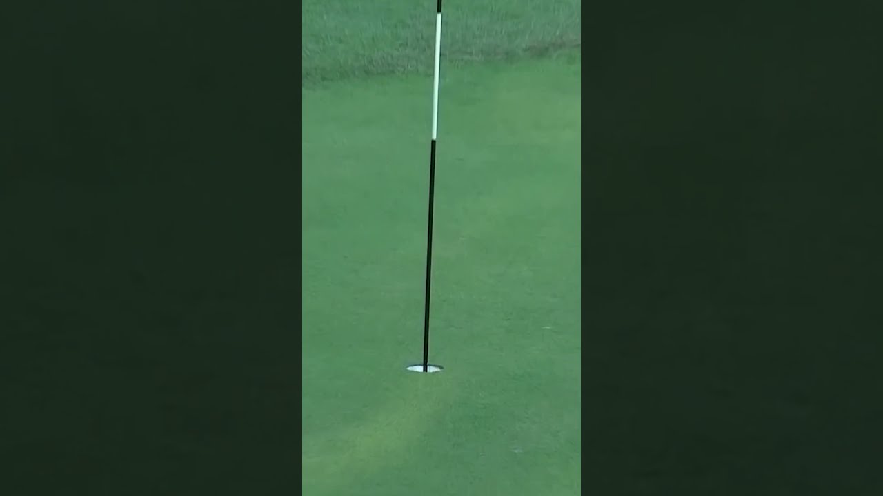 INCREDIBLE shot & reaction 😱