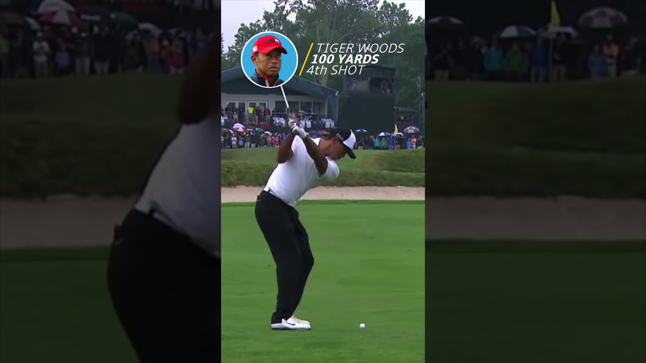 PURE Tiger Wedge 🐯