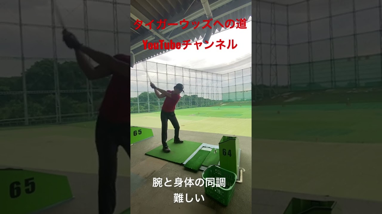 タイガーウッズへの道#golf #tigerwoods #ゴルフ #ゴルフスイング #ゴルフレッスン #タイガーウッズ #タイガーウッズへの道 #shorts