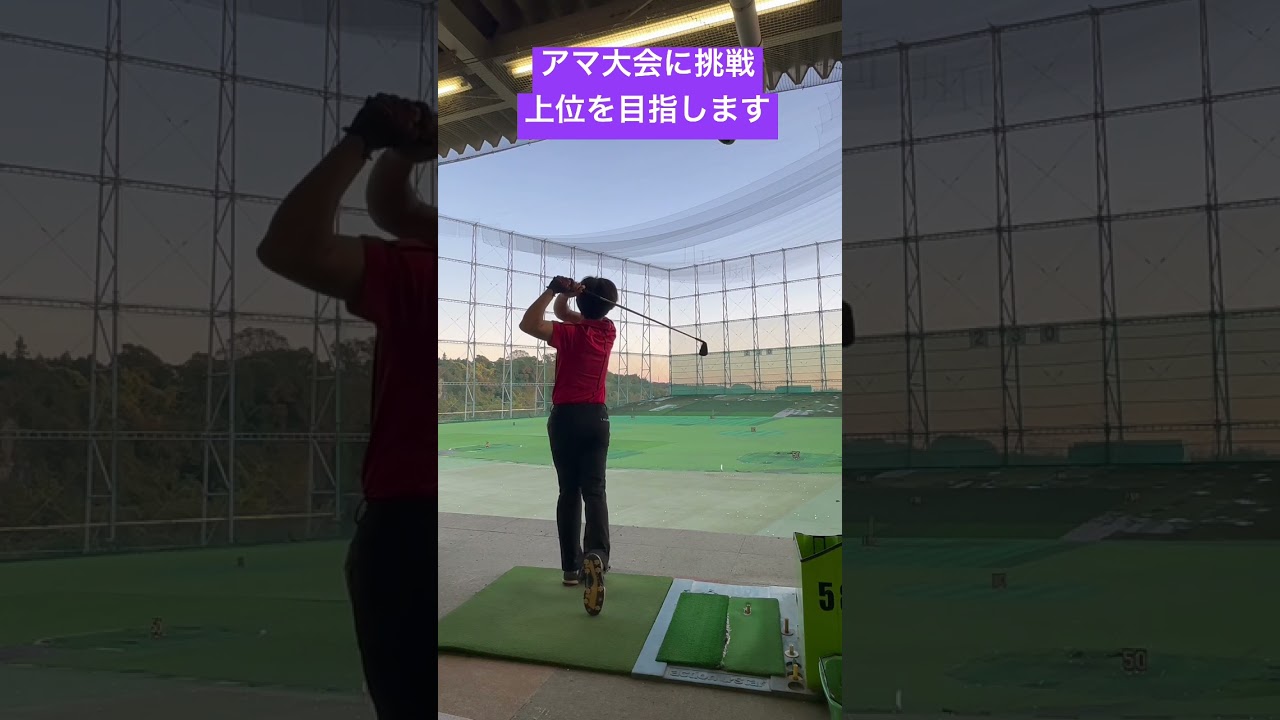 来年の目標。#golf #golfswing #golfer #ゴルフ #ゴルフレッスン #shorts #タイガーウッズ