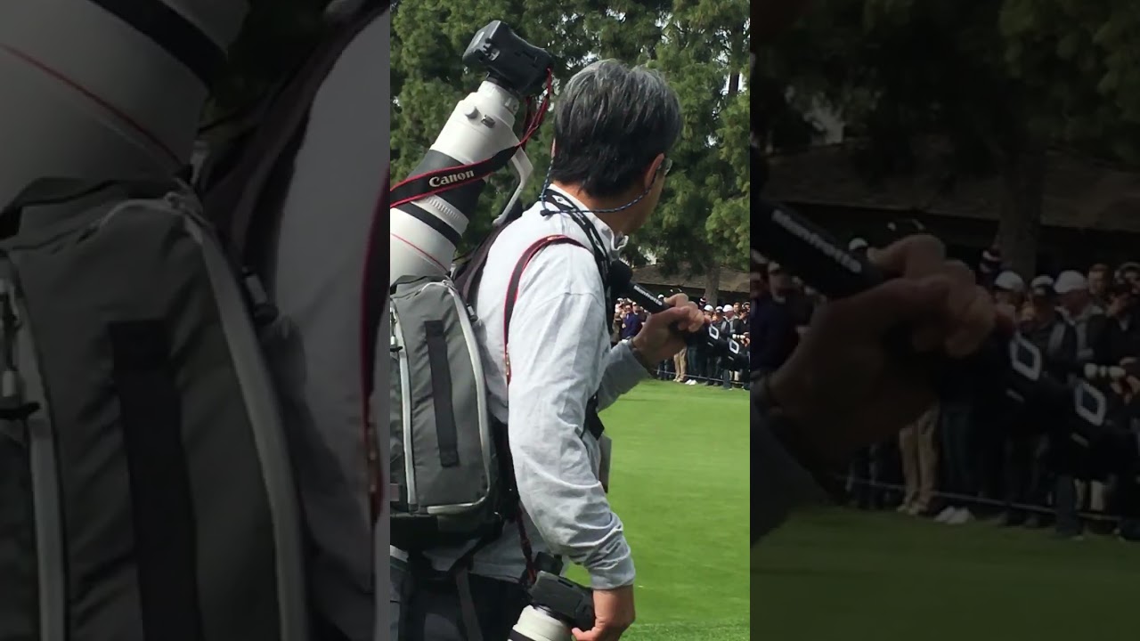 タイガーウッズ登場！ Rare! Tiger woods!