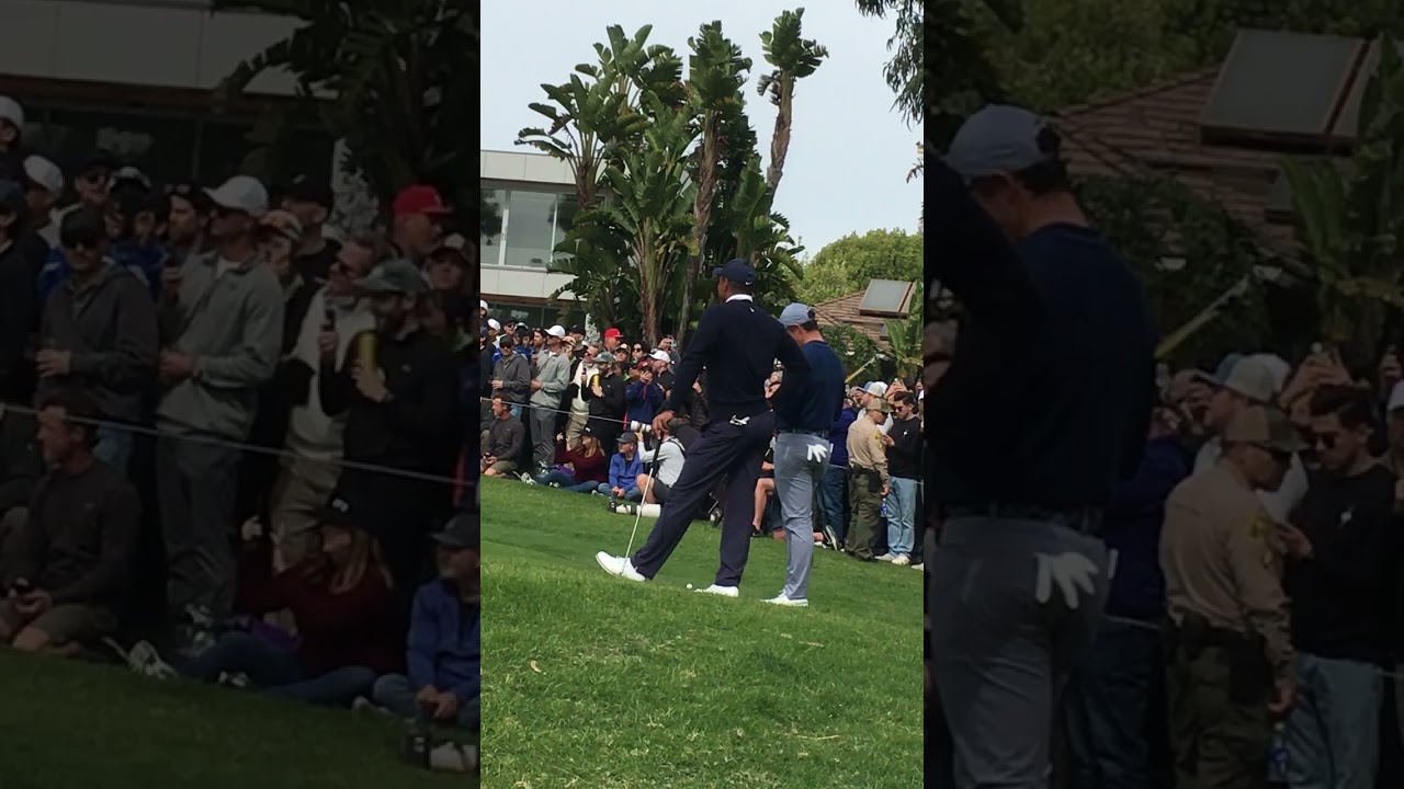 Rare! Tiger Woods and Rory Mercury!【レア動画】タイガーウッズとローリーマキロイ