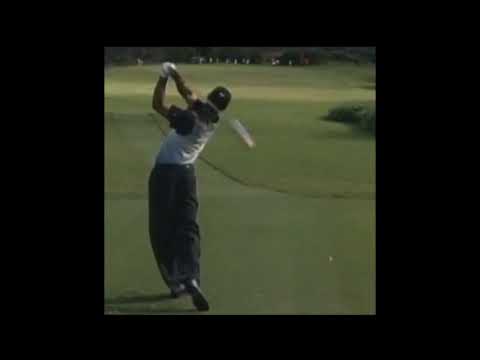 タイガーウッズ　２０００年版　イメトレ用