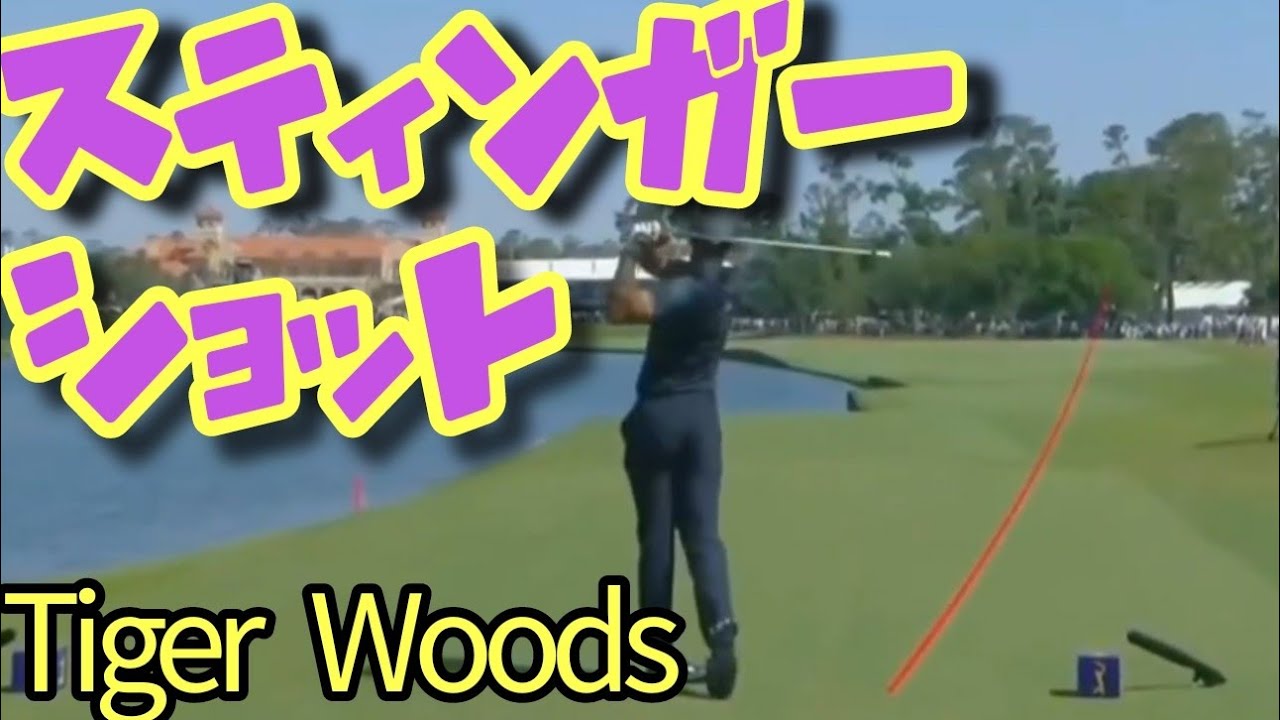 タイガーウッズ　スティンガーショット集