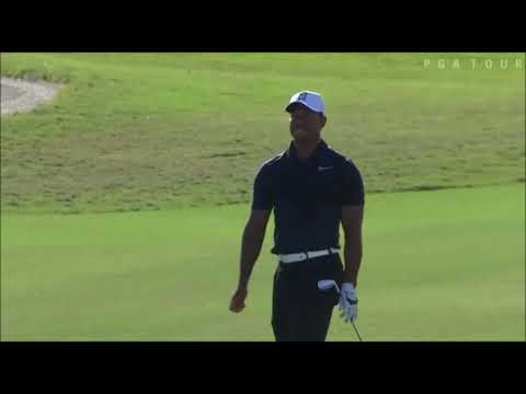 タイガーウッズのコントロールショット