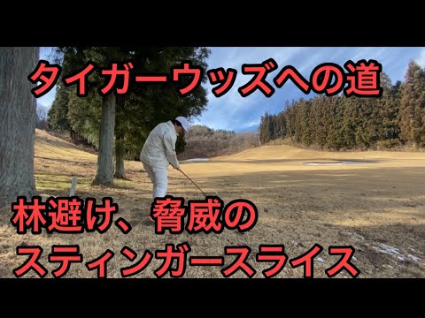 タイガーウッズへの道　　スティンガースライス擬き