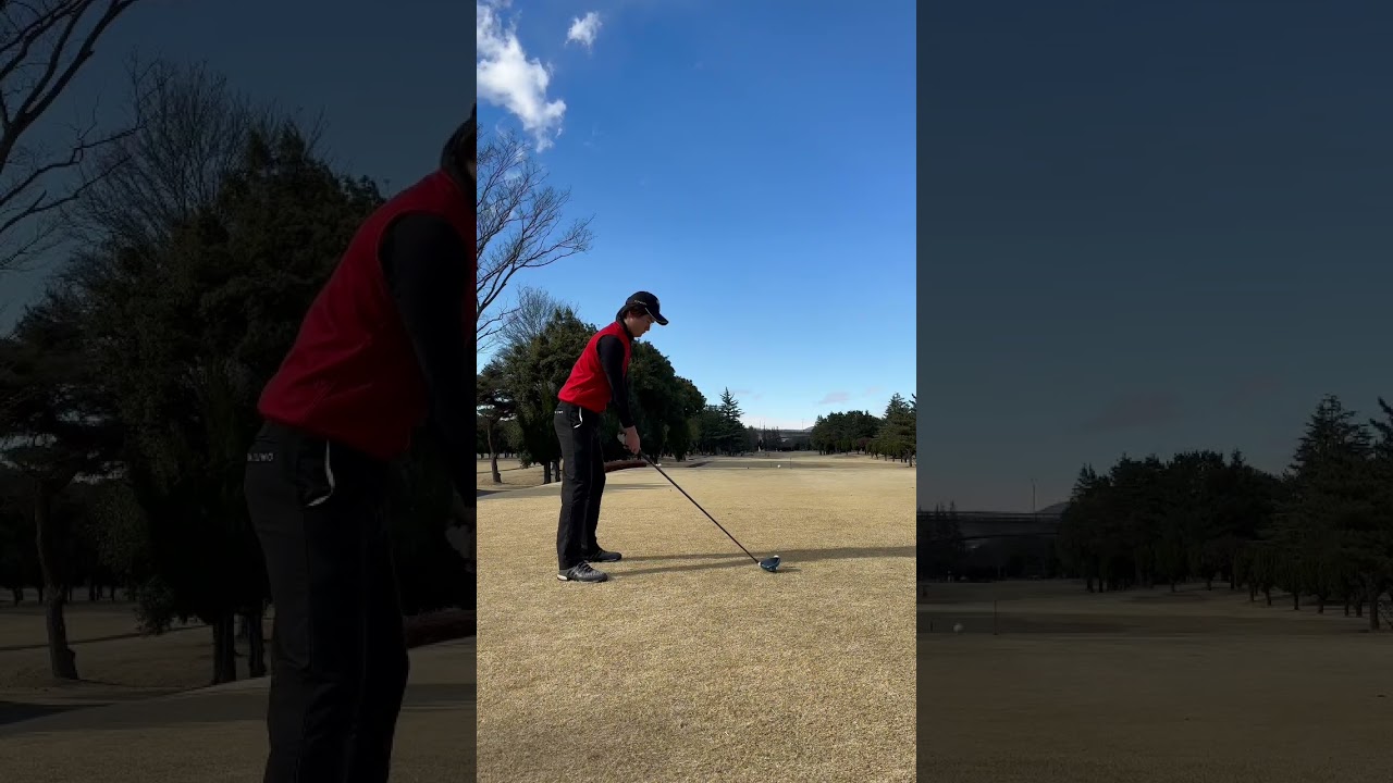 超脱力スイング。 #golf #ゴルフ #shorts #タイガーウッズ