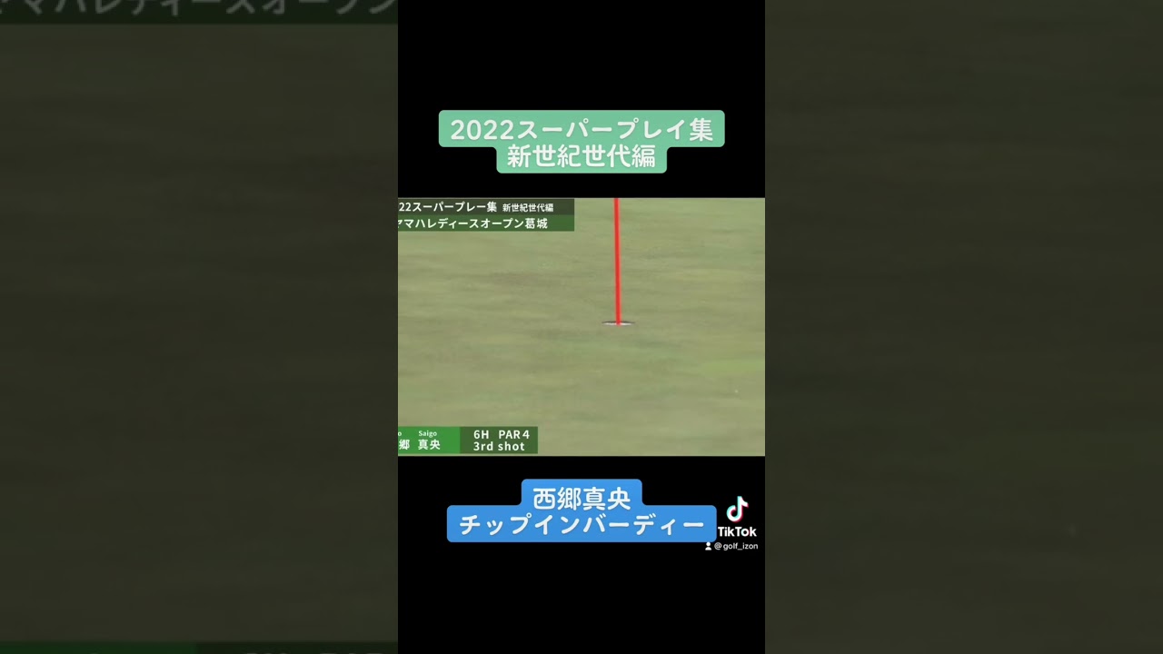 西郷真央チップインバーディー