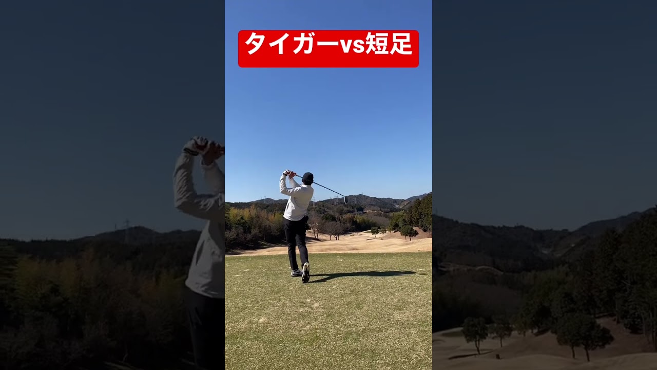 タイガーウッズvs短足‼︎ついに実現‼︎ #ゴルフ #アイアンショット #アプローチ #10人ニキ