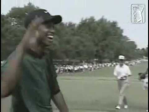 ゴルフ タイガーウッズ ホールへ直行ホールインワン