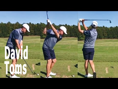 David Toms デビッドトムズ
