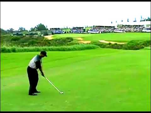 タイガーの６６３Ｙ２オンショット