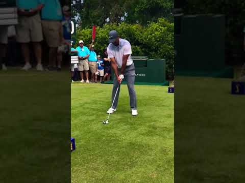 Tiger Woods Iron Swing