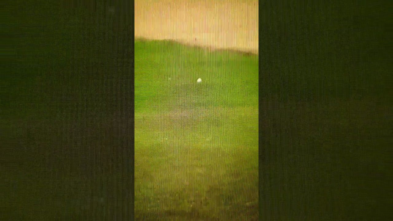 河本結  明治安田生命レディス #shorts #ショート #明治安田生命レディス