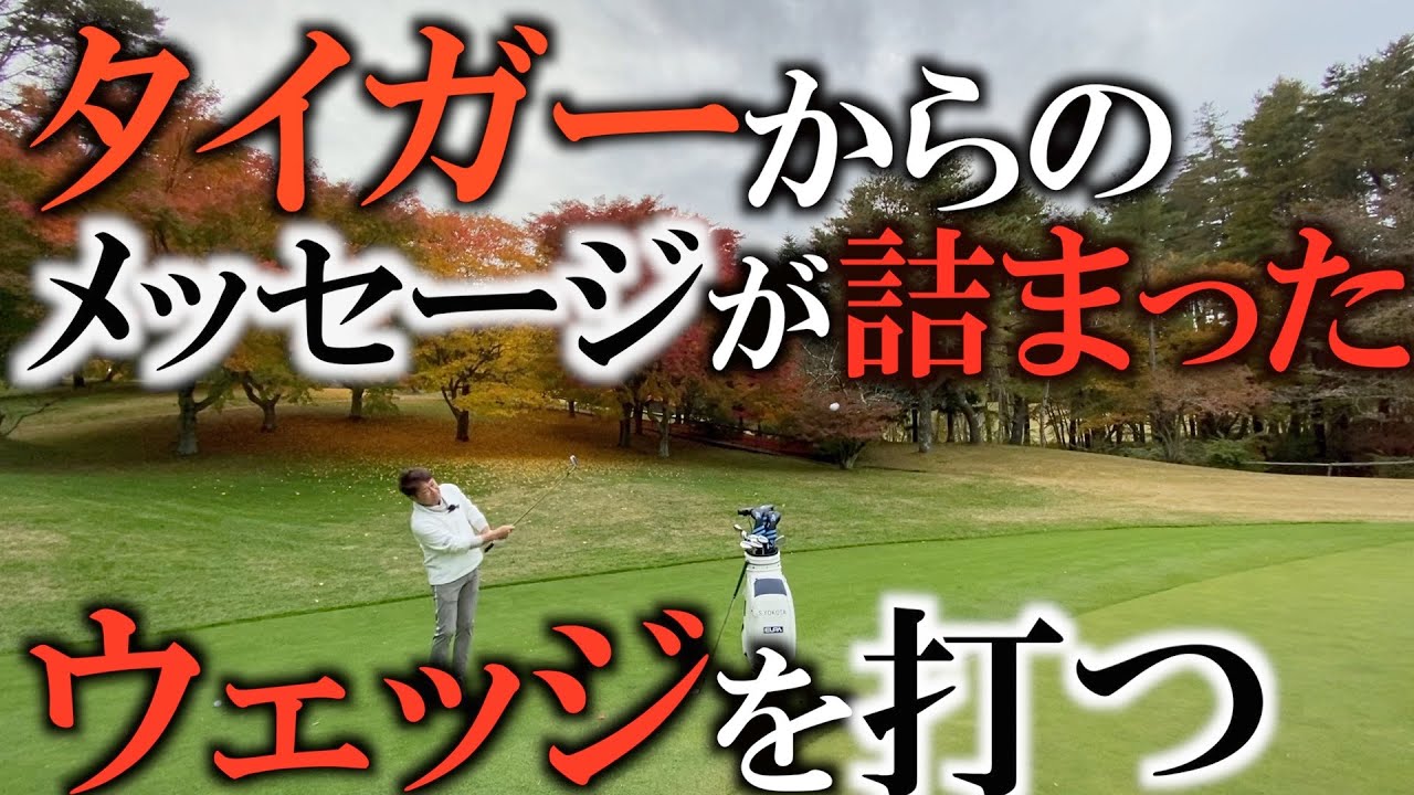 タイガーモデルウェッジのレビュー！　タイガーと同じソールの音を聞いてまるでタイガーと会話してるかのようだった！　＃ギアインプレッション