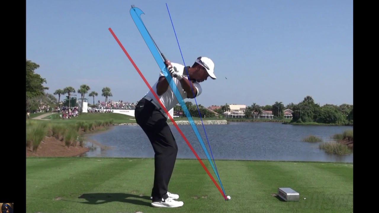 タイガー ウッズ、スイングプレーンを連続静止画でチェック(DTL,Iron)