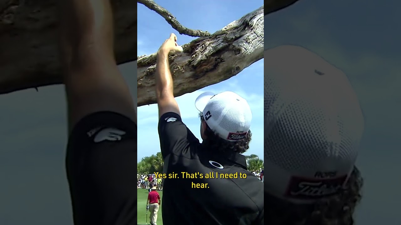 McIlroy's 1 in a MILLION tee shot!