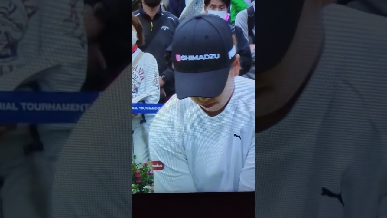 【アクサレディス】西郷真央  #shorts #ショート #西郷真央