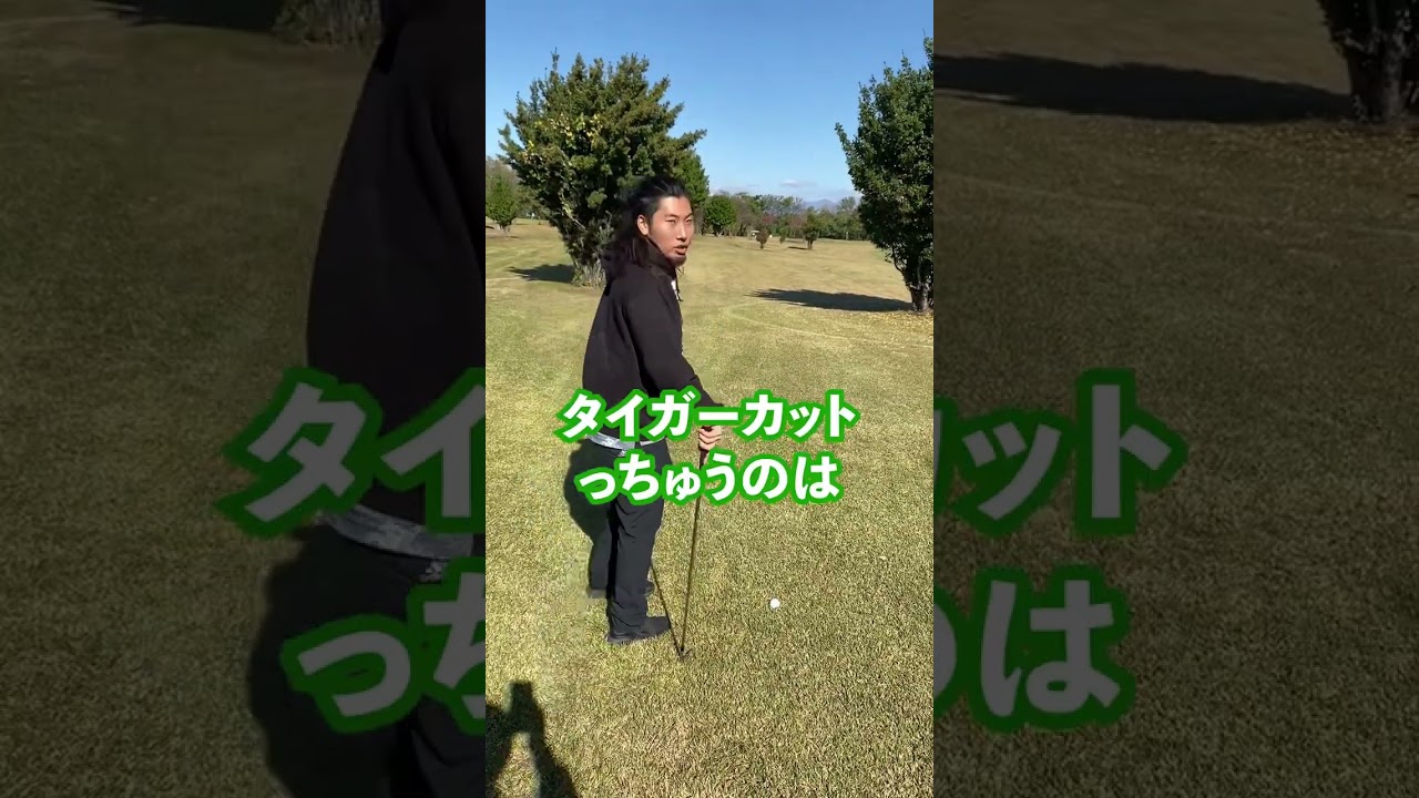 タイガーカット#タイガーウッズ #golf