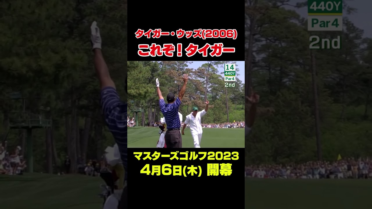 【マスターズスーパーショット】2006年マスターズ タイガー・ウッズ 14番イーグルショット　#shorts #ゴルフ#Masters