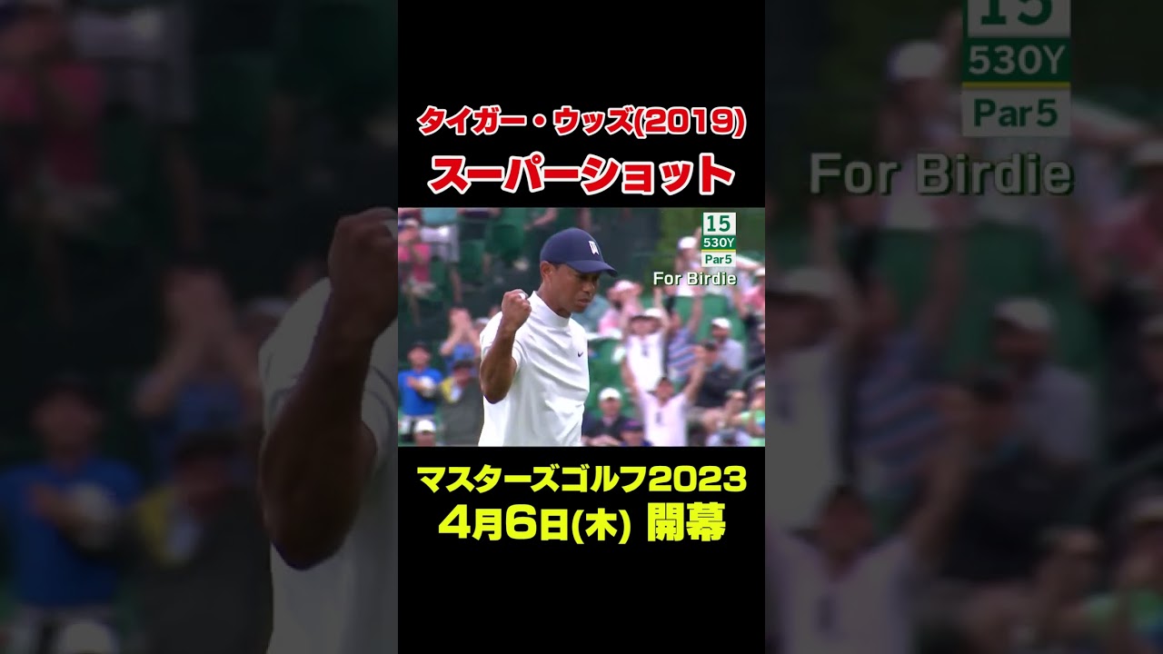 【マスターズスーパーショット】 2019年マスターズ タイガー・ウッズ　#shorts #ゴルフ#Masters