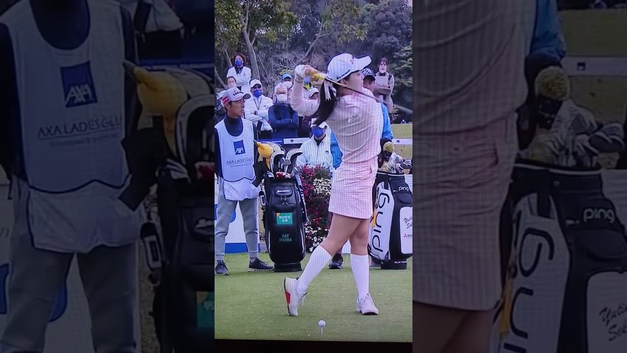 セキユウティン  アクサレディス  #shorts #ショート #セキユウティン