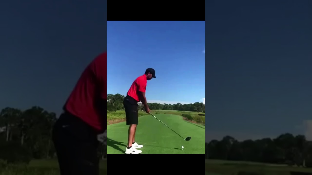 Tiger Woods タイガーウッズ