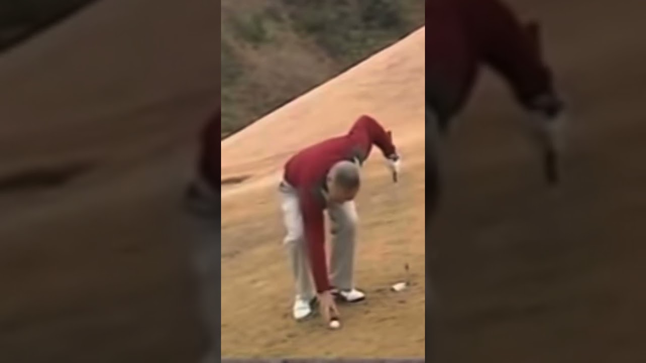 ジャンボ尾崎・青木功を育てた《林由郎流》左足上がりからPwで転がすアプローチ！#golf #golfsport #playgolf #アプローチ #パーシモンhage #林由郎