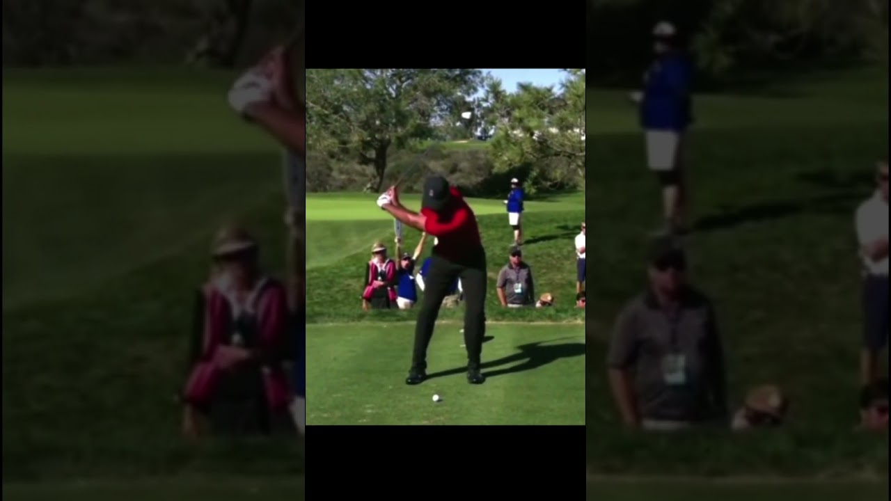 Tiger Woods タイガー・ウッズ