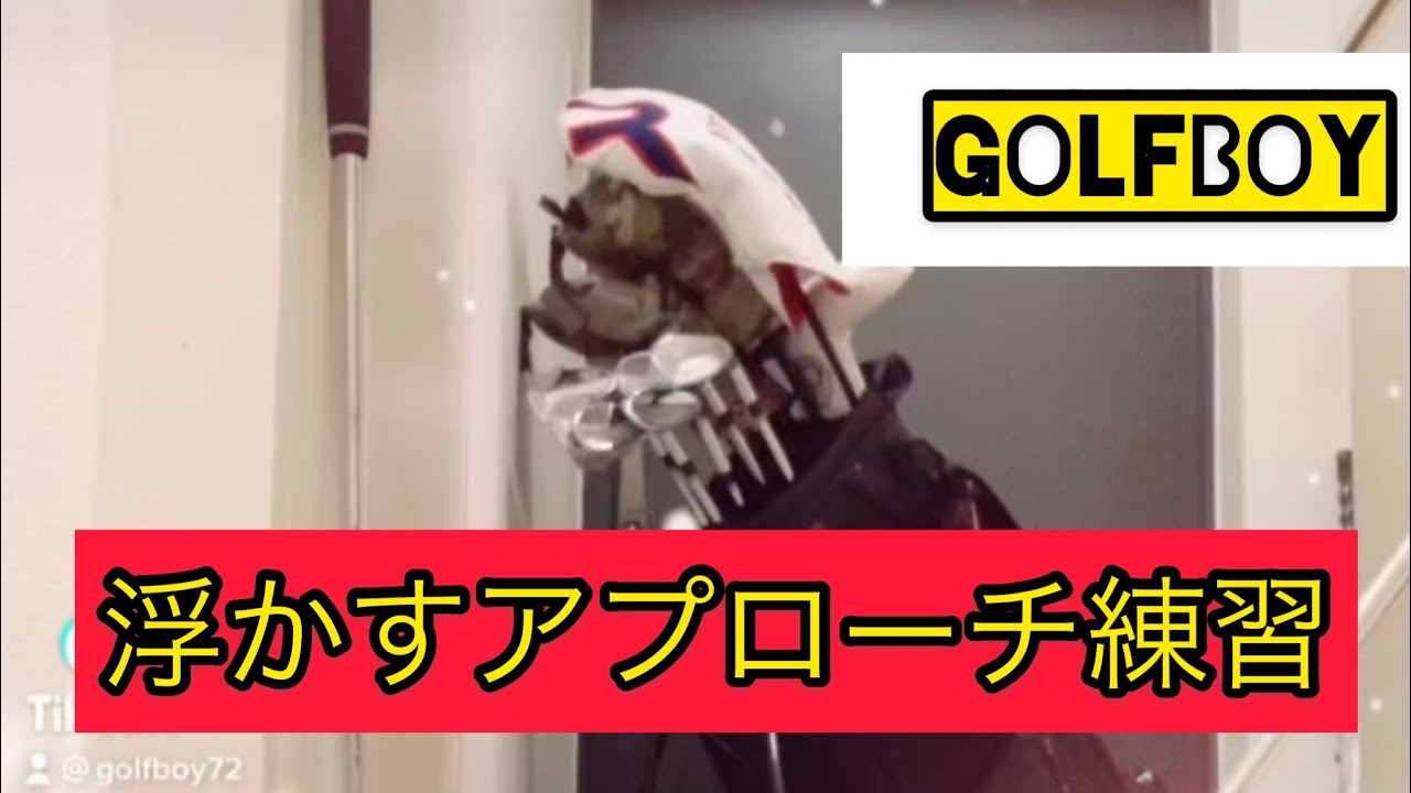 ウェッジ　アプローチ練習　 #プロギアチューン #ロッディオ #オライオン #YES #ゴルフボーイ #golfboy ミケルソン