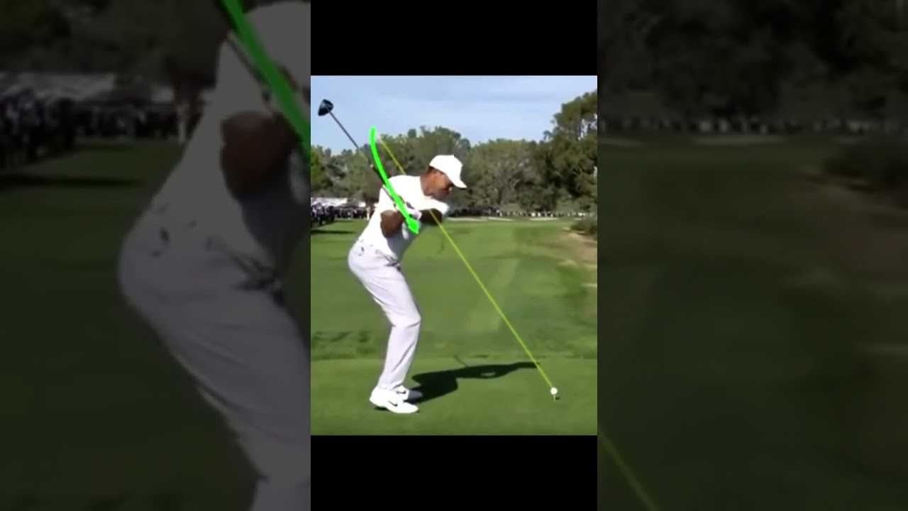 Tiger Woods タイガーウッズ