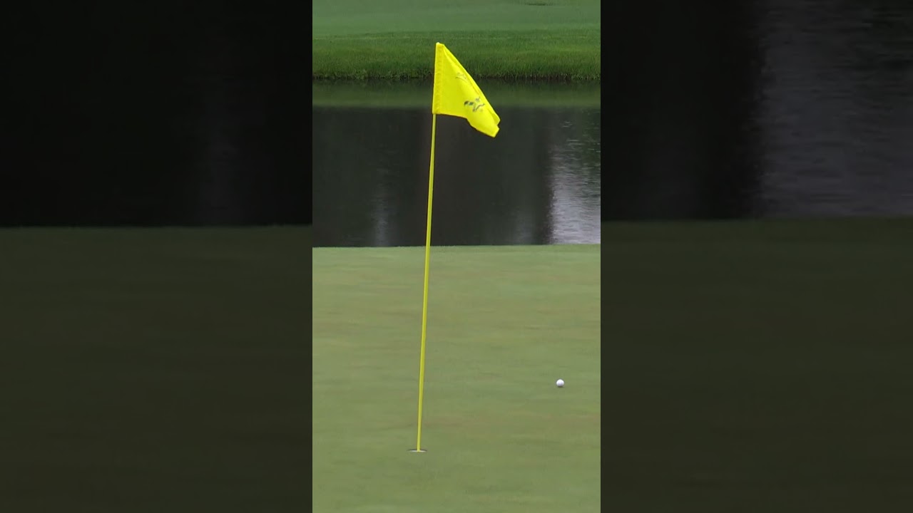 Tiger Woods moves inside the projected cut line with birdie on No. 15 | The Masters #shorts