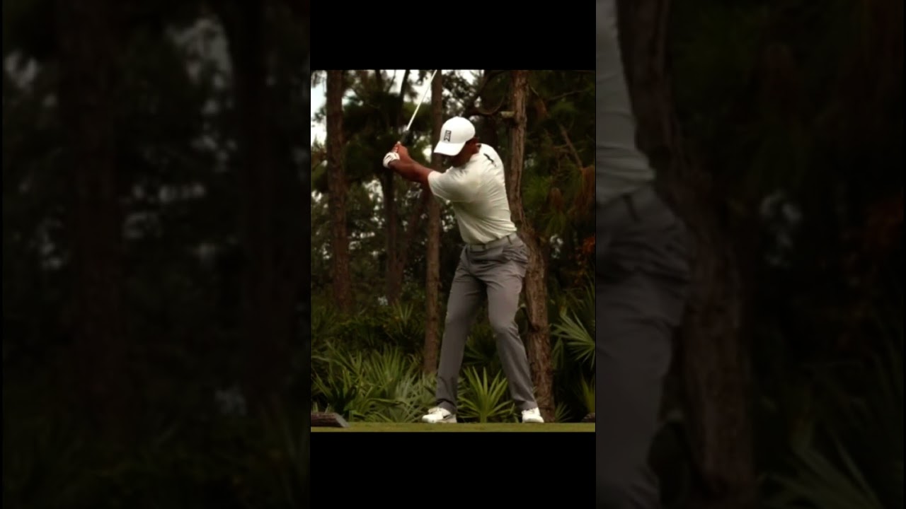 Tiger Woods タイガー・ウッズ