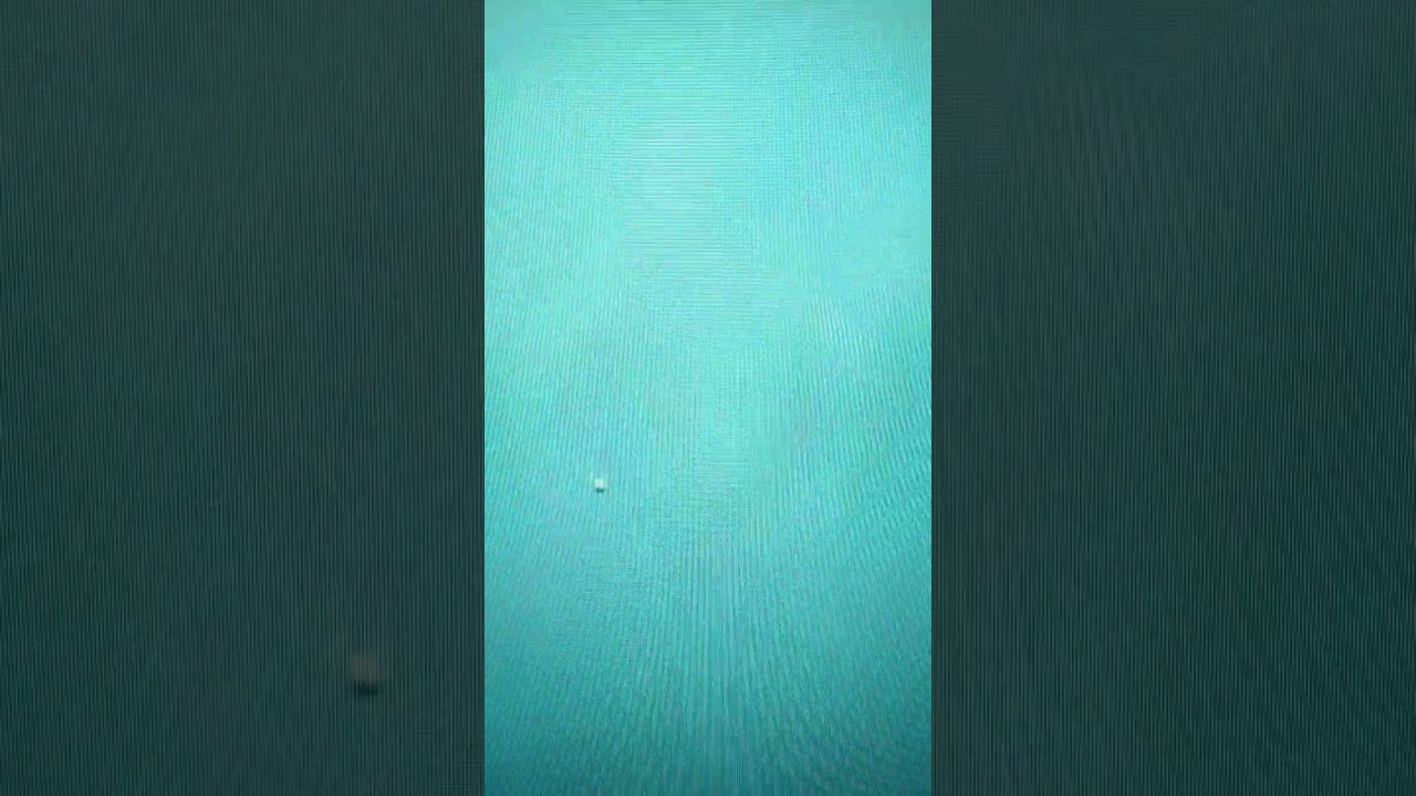 西村優菜  ロッテ選手権 #shorts #ショート #西村優菜