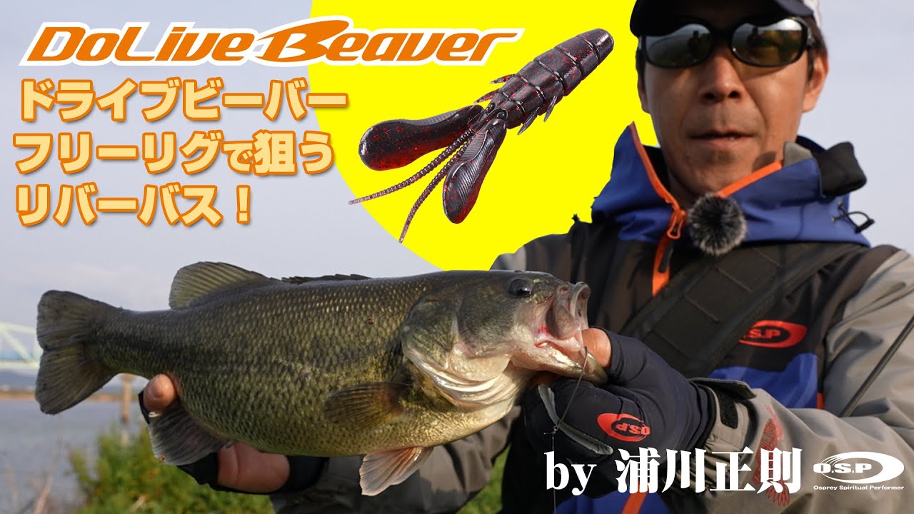 【浦川正則】ドライブビーバーのフリーリグで狙うリバーバス！