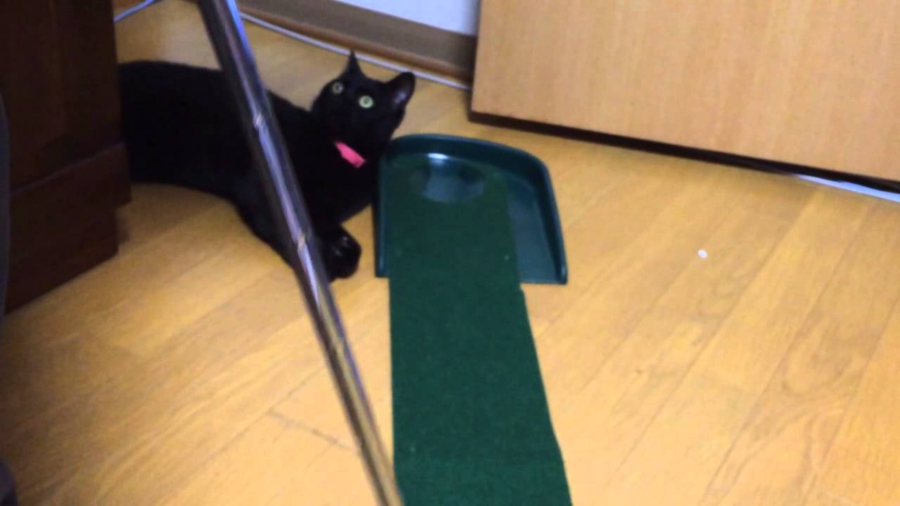 パッティングが難しすぎる