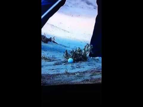 Kaymer Double Hit 3rd shot hole 10 Rd 4 Us open