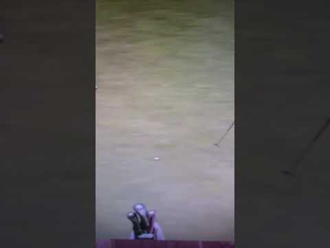 西村優菜  バーディー取れず悔しがる  #shorts #ショート #西村優菜