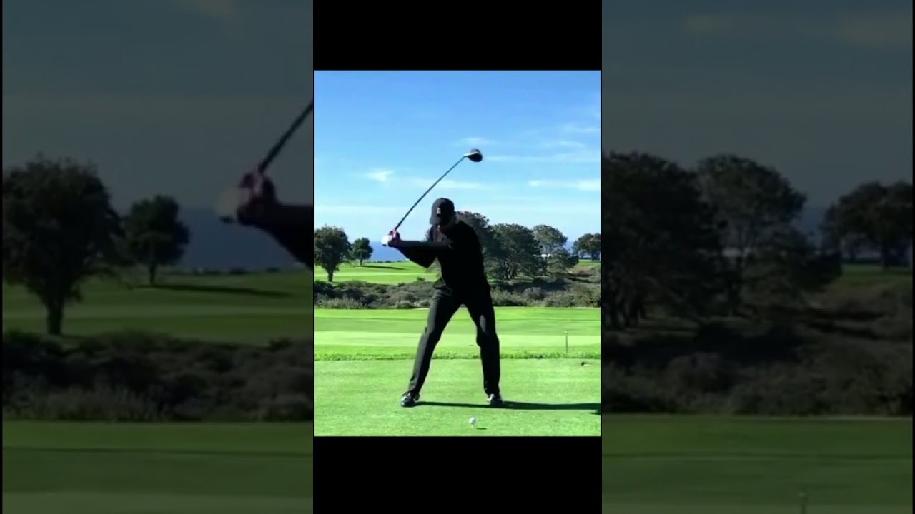 タイガー・ウッズ Tiger Woods