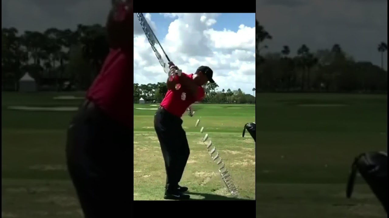 Tiger Woods タイガー・ウッズ