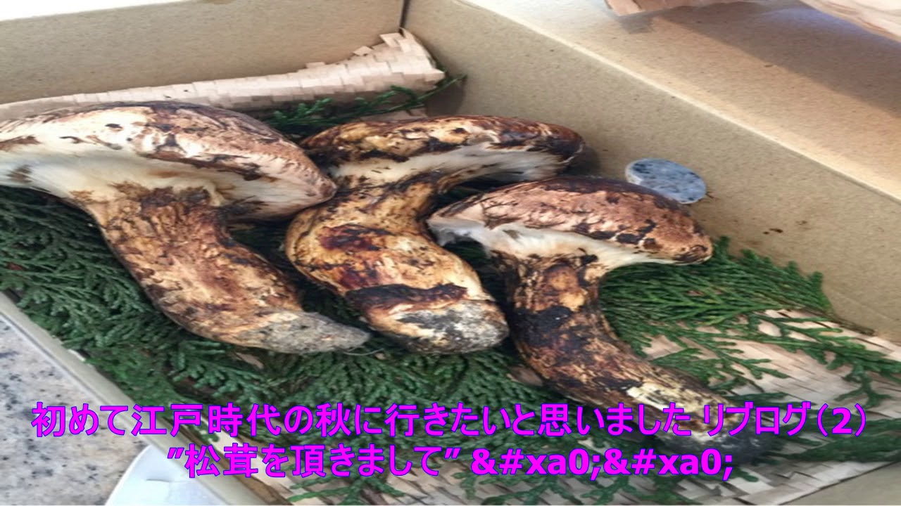 東尾理子『松茸を頂きまして』