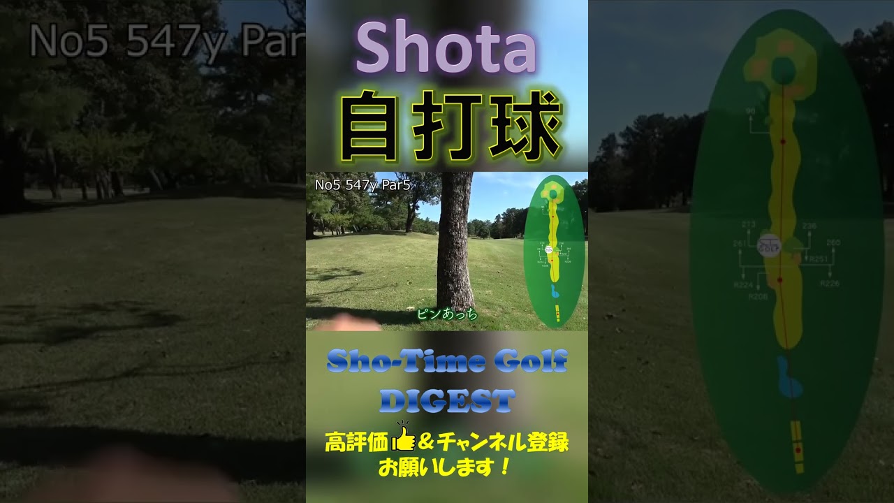 自打球するプロ #shorts