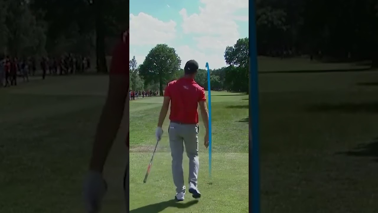 A perfect STINGER! 😱